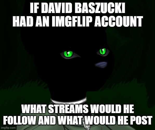 My new panther fursona | IF DAVID BASZUCKI HAD AN IMGFLIP ACCOUNT; WHAT STREAMS WOULD HE FOLLOW AND WHAT WOULD HE POST | image tagged in my new panther fursona | made w/ Imgflip meme maker