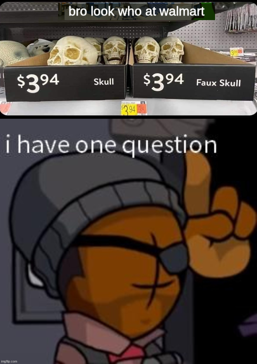 image tagged in i have one question demo man madness combat | made w/ Imgflip meme maker