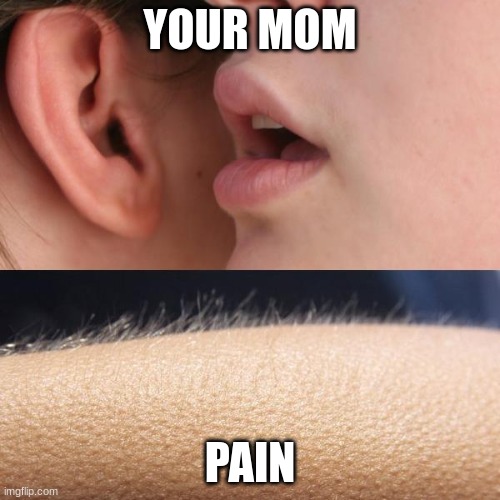 Whisper and Goosebumps | YOUR MOM; PAIN | image tagged in whisper and goosebumps | made w/ Imgflip meme maker