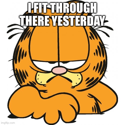 Garfield | I FIT THROUGH THERE YESTERDAY | image tagged in garfield | made w/ Imgflip meme maker