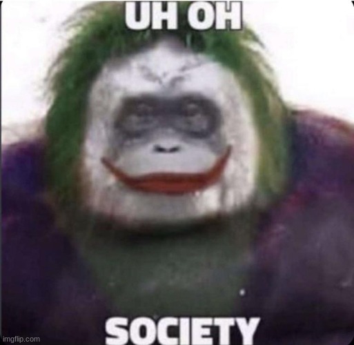 society joker monkey | image tagged in society joker monkey | made w/ Imgflip meme maker