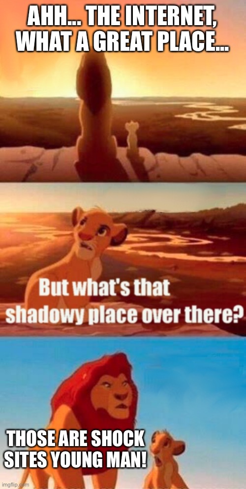 Don’t go to them! | AHH... THE INTERNET, WHAT A GREAT PLACE... THOSE ARE SHOCK SITES YOUNG MAN! | image tagged in memes,simba shadowy place | made w/ Imgflip meme maker