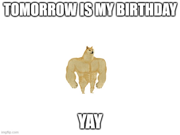 yay | TOMORROW IS MY BIRTHDAY; YAY | image tagged in blank white template | made w/ Imgflip meme maker