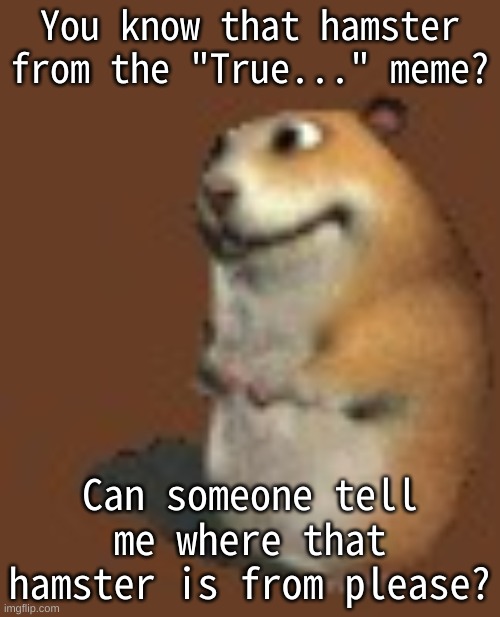 his name is chomik | You know that hamster from the "True..." meme? Can someone tell me where that hamster is from please? | image tagged in memes,funny,hamster,chomik,pls tell me,question | made w/ Imgflip meme maker