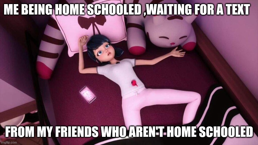 true story | ME BEING HOME SCHOOLED ,WAITING FOR A TEXT; FROM MY FRIENDS WHO AREN'T HOME SCHOOLED | image tagged in miraculous ladybug marinette in bed | made w/ Imgflip meme maker