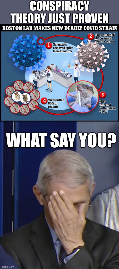 Tell us again how no gain of function work was done in Wuhan lab. | CONSPIRACY THEORY JUST PROVEN; WHAT SAY YOU? | image tagged in dr fauci,wuhan lab,gain of function,lab leak,conspiracy theory | made w/ Imgflip meme maker