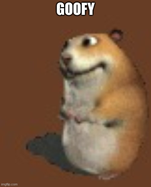 Hamster | GOOFY | image tagged in hamster | made w/ Imgflip meme maker