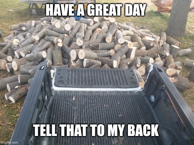 HAVE A GREAT DAY TELL THAT TO MY BACK | made w/ Imgflip meme maker