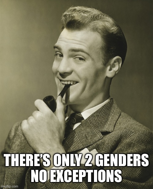 Smug | THERE’S ONLY 2 GENDERS
NO EXCEPTIONS | image tagged in smug | made w/ Imgflip meme maker