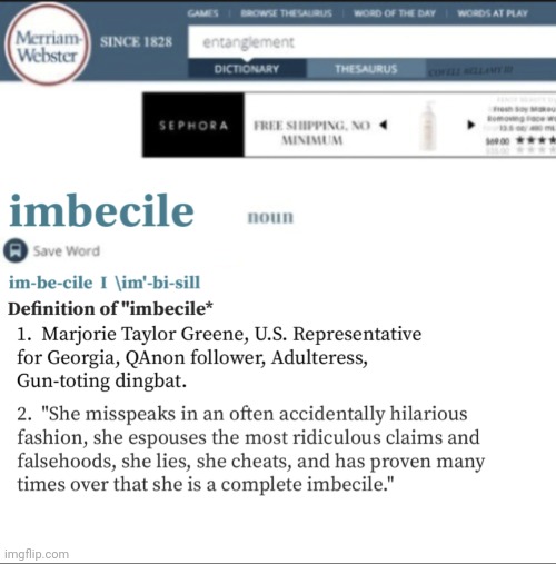 Imbecile | image tagged in definition | made w/ Imgflip meme maker