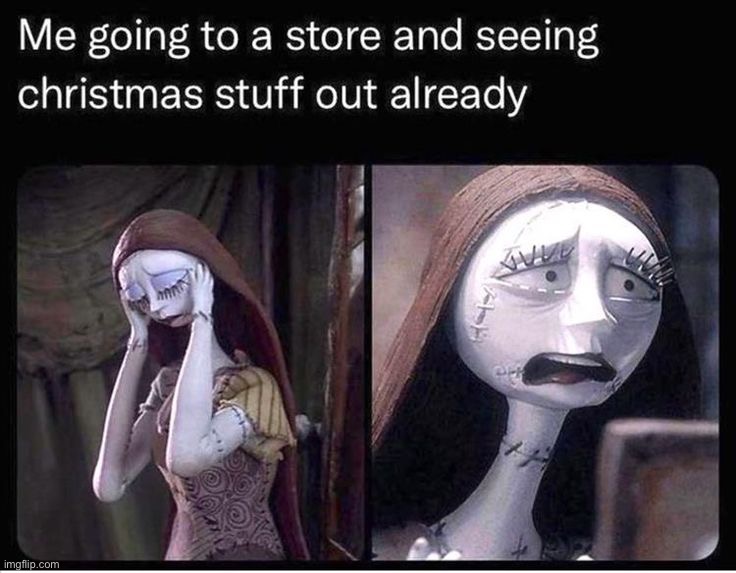 True, I believe that decor should come and go with holidays, not Christmas in October. | image tagged in memes,funny | made w/ Imgflip meme maker