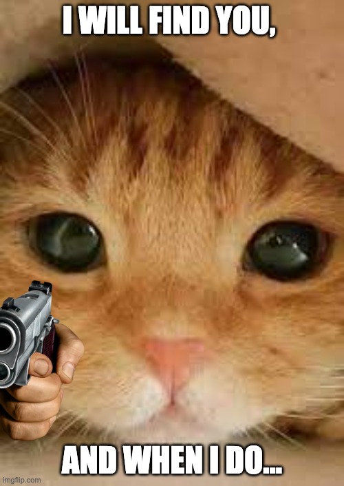 ha ha ha | I WILL FIND YOU, AND WHEN I DO... | image tagged in cats,guns | made w/ Imgflip meme maker