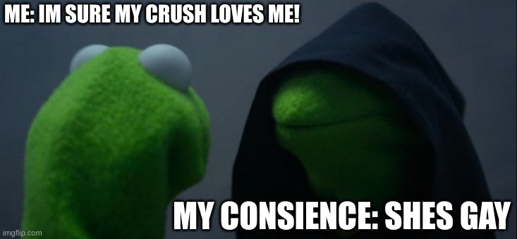 Evil Kermit | ME: IM SURE MY CRUSH LOVES ME! MY CONSIENCE: SHES GAY | image tagged in memes,evil kermit | made w/ Imgflip meme maker