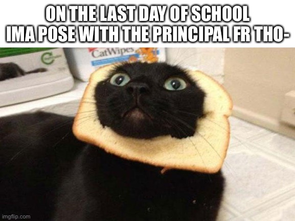 Gonna do it lol | ON THE LAST DAY OF SCHOOL IMA POSE WITH THE PRINCIPAL FR THO- | image tagged in funny,funny memes,school,school meme | made w/ Imgflip meme maker