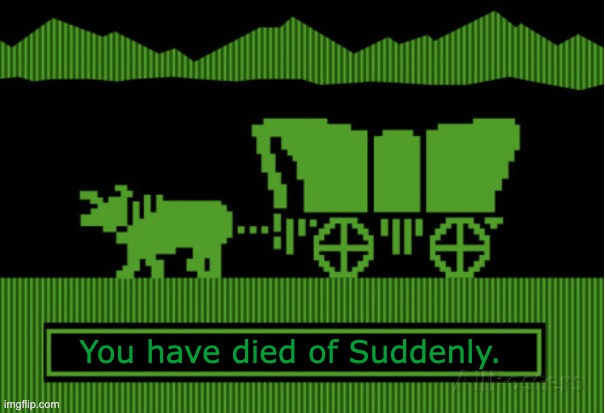 Oregon Trail Blank | You have died of Suddenly. | image tagged in oregon trail blank | made w/ Imgflip meme maker