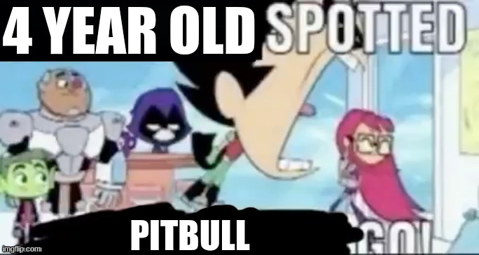 Give a friend for the 4 year old to play with | 4 YEAR OLD; PITBULL | image tagged in ____ spotted ____ go | made w/ Imgflip meme maker