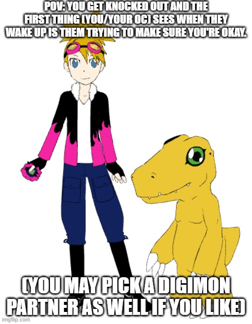 Digimon RP | POV: YOU GET KNOCKED OUT AND THE FIRST THING (YOU/YOUR OC) SEES WHEN THEY WAKE UP IS THEM TRYING TO MAKE SURE YOU'RE OKAY. (YOU MAY PICK A DIGIMON PARTNER AS WELL IF YOU LIKE) | image tagged in digimon,oc | made w/ Imgflip meme maker