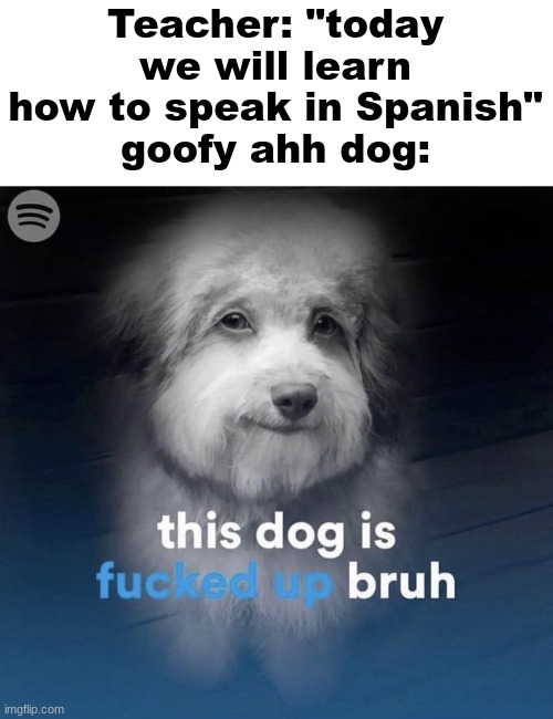 Teacher: "today we will learn how to speak in Spanish"
goofy ahh dog: | made w/ Imgflip meme maker
