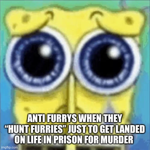 Sad Spongebob | ANTI FURRYS WHEN THEY “HUNT FURRIES” JUST TO GET LANDED ON LIFE IN PRISON FOR MURDER | image tagged in sad spongebob | made w/ Imgflip meme maker