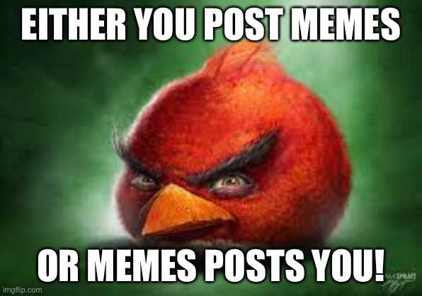 Post you memes to my streams please! | EITHER YOU POST MEMES; OR MEMES POSTS YOU! | image tagged in realistic red angry birds,angry birds,memes,either you,post | made w/ Imgflip meme maker