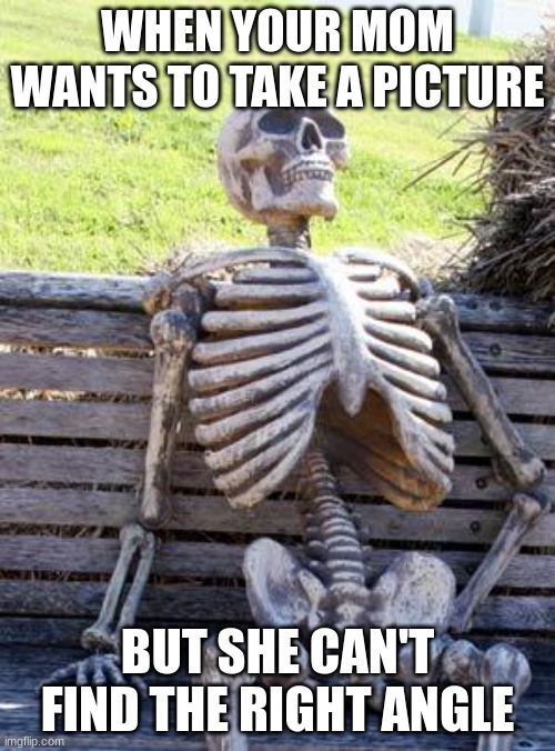 Waiting Skeleton | WHEN YOUR MOM WANTS TO TAKE A PICTURE; BUT SHE CAN'T FIND THE RIGHT ANGLE | image tagged in memes,waiting skeleton | made w/ Imgflip meme maker
