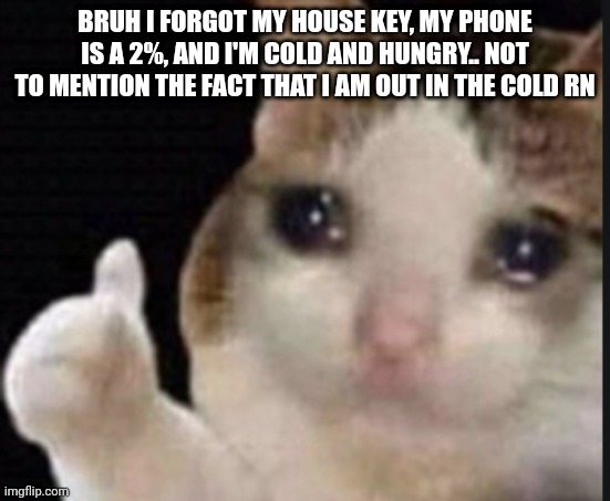 Cat crying with thumbs up | BRUH I FORGOT MY HOUSE KEY, MY PHONE IS A 2%, AND I'M COLD AND HUNGRY.. NOT TO MENTION THE FACT THAT I AM OUT IN THE COLD RN | image tagged in cat crying with thumbs up | made w/ Imgflip meme maker