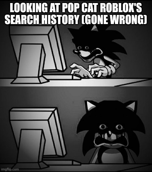 Roblox slander | LOOKING AT POP CAT ROBLOX'S SEARCH HISTORY (GONE WRONG) | image tagged in sonic computer | made w/ Imgflip meme maker