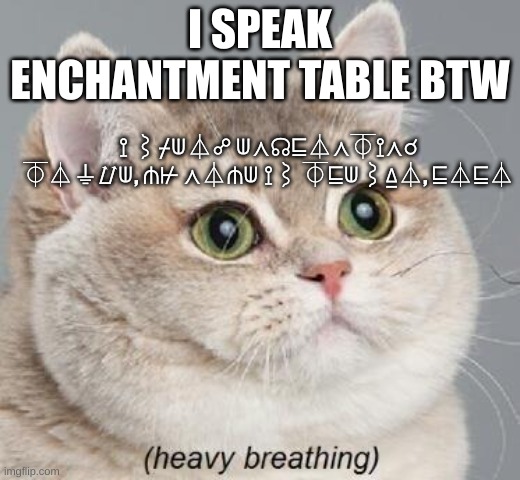 ??꧅?꧅??꧅??꧅?꧅?? | I SPEAK ENCHANTMENT TABLE BTW; ⟟ ⌇⌿⟒⏃☍ ⟒⋏☊⊑⏃⋏⏁⟟⋏☌ ⏁⏃⏚⌰⟒, ⋔⊬ ⋏⏃⋔⟒ ⟟⌇ ⏁⊑⟒⌇⍙⏃, ⊑⏃⊑⏃ | image tagged in memes,heavy breathing cat | made w/ Imgflip meme maker