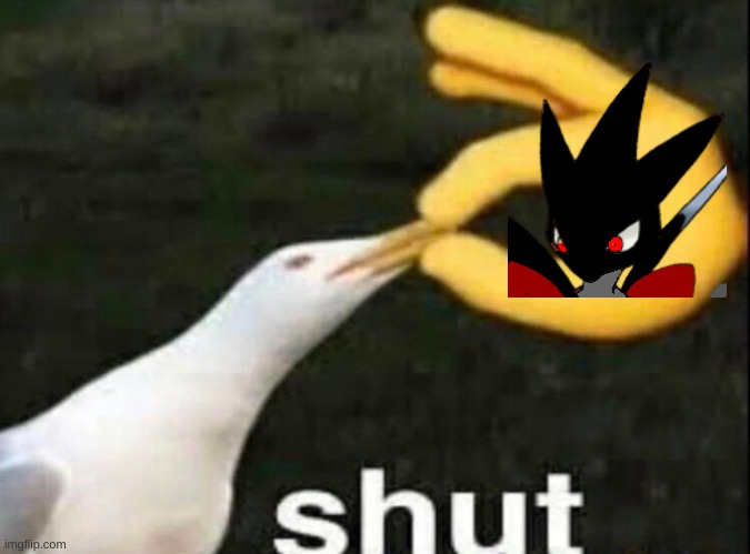 SHUT | image tagged in shut | made w/ Imgflip meme maker
