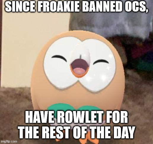 Happy Rowlet | SINCE FROAKIE BANNED OCS, HAVE ROWLET FOR THE REST OF THE DAY | image tagged in happy rowlet | made w/ Imgflip meme maker