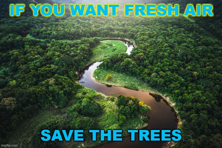 IF YOU WANT FRESH AIR SAVE THE TREES | IF YOU WANT FRESH AIR; SAVE THE TREES | image tagged in amazon | made w/ Imgflip meme maker
