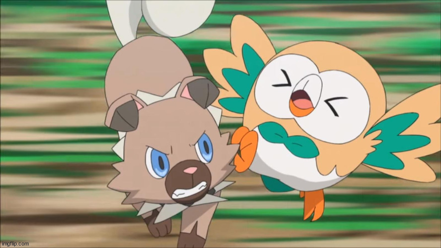 i remember this scene | image tagged in rockruff attacks rowlet | made w/ Imgflip meme maker