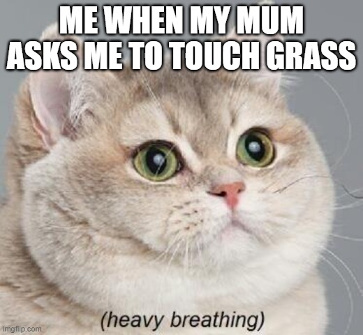 grass nooooooo. p.s i acctually play ten sports | ME WHEN MY MUM ASKS ME TO TOUCH GRASS | image tagged in memes,heavy breathing cat | made w/ Imgflip meme maker