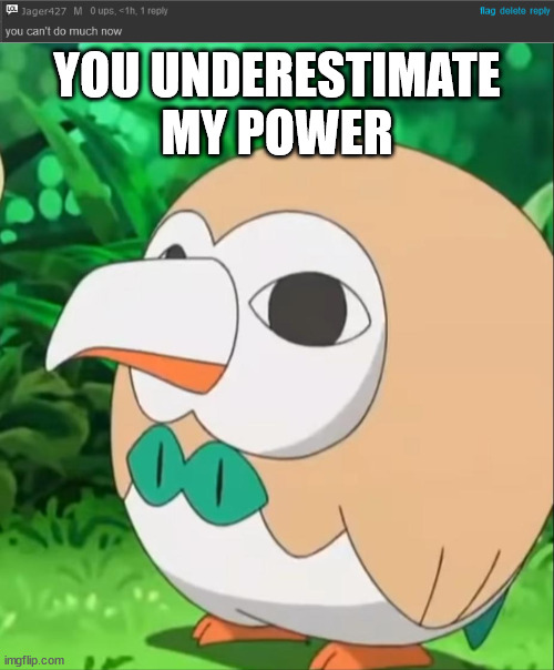 YOU UNDERESTIMATE MY POWER | image tagged in xatu rowlet | made w/ Imgflip meme maker