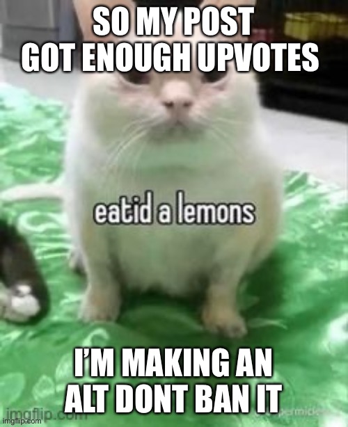 SO MY POST GOT ENOUGH UPVOTES; I’M MAKING AN ALT DONT BAN IT | made w/ Imgflip meme maker