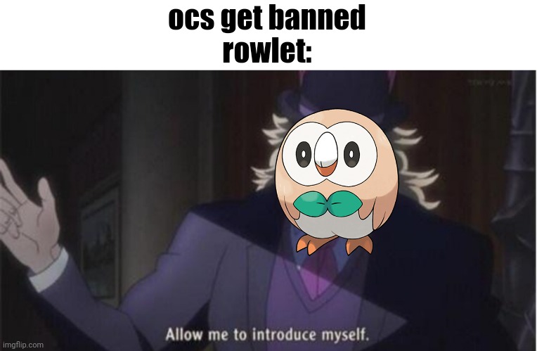 Allow me to introduce myself(jojo) | ocs get banned
rowlet: | image tagged in allow me to introduce myself jojo | made w/ Imgflip meme maker