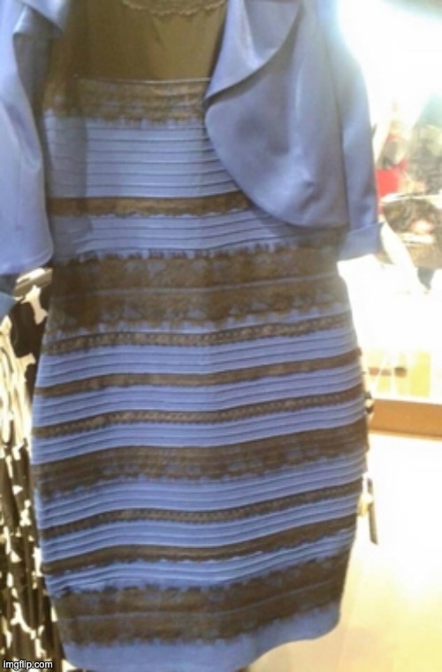 What color is the dress | made w/ Imgflip meme maker