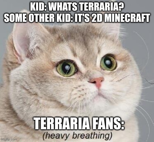 Title |  KID: WHATS TERRARIA?
SOME OTHER KID: IT'S 2D MINECRAFT; TERRARIA FANS: | image tagged in memes,heavy breathing cat,terraria,fans | made w/ Imgflip meme maker