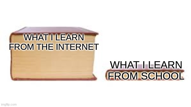 Big book small book | WHAT I LEARN FROM THE INTERNET; WHAT I LEARN FROM SCHOOL | image tagged in big book small book | made w/ Imgflip meme maker