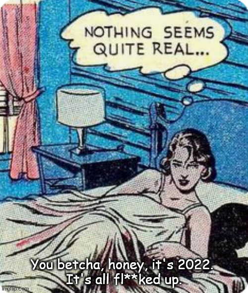 You betcha, honey | You betcha, honey, it's 2022. 
It's all fl**ked up. | image tagged in memes,dark | made w/ Imgflip meme maker