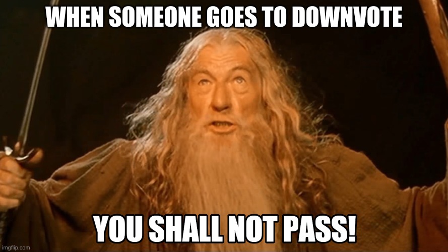 WHEN SOMEONE GOES TO DOWNVOTE | image tagged in gandalf,gandalf you shall not pass,downvote | made w/ Imgflip meme maker