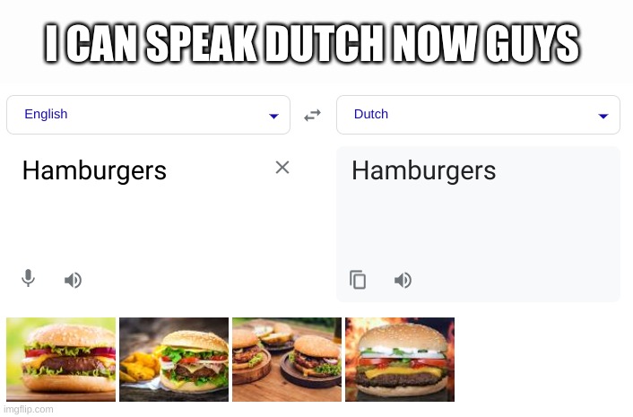 lets go | I CAN SPEAK DUTCH NOW GUYS | made w/ Imgflip meme maker