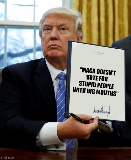 Ummmm that's kind of a prerequisite | "MAGA DOESN’T VOTE FOR STUPID PEOPLE WITH BIG MOUTHS" | image tagged in executive order | made w/ Imgflip meme maker