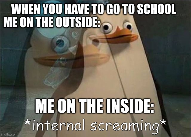 Me when I have to go to school | WHEN YOU HAVE TO GO TO SCHOOL
ME ON THE OUTSIDE:; ME ON THE INSIDE: | image tagged in internal screaming | made w/ Imgflip meme maker