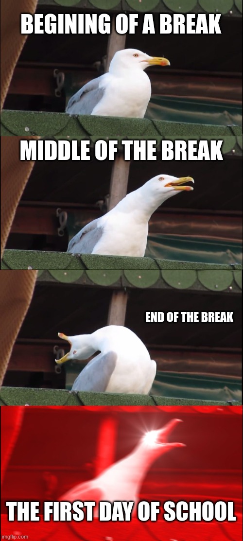 Breaks to School | BEGINING OF A BREAK; MIDDLE OF THE BREAK; END OF THE BREAK; THE FIRST DAY OF SCHOOL | image tagged in memes,inhaling seagull | made w/ Imgflip meme maker