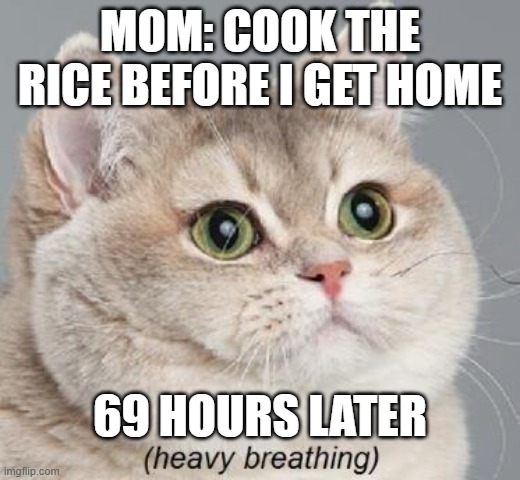 Heavy Breathing Cat | MOM: COOK THE RICE BEFORE I GET HOME; 69 HOURS LATER | image tagged in memes,heavy breathing cat | made w/ Imgflip meme maker