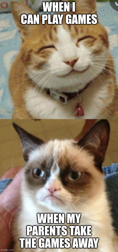 Games | WHEN I CAN PLAY GAMES; WHEN MY PARENTS TAKE THE GAMES AWAY | image tagged in grumpy cat,cats,happy cat,funny | made w/ Imgflip meme maker