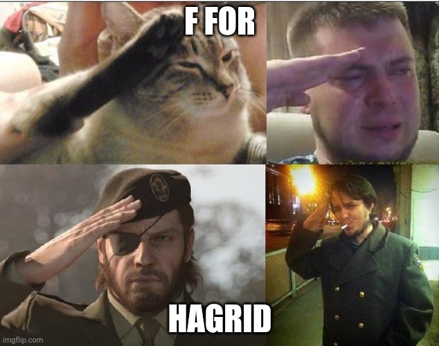 Ozon's Salute | F FOR HAGRID | image tagged in ozon's salute | made w/ Imgflip meme maker