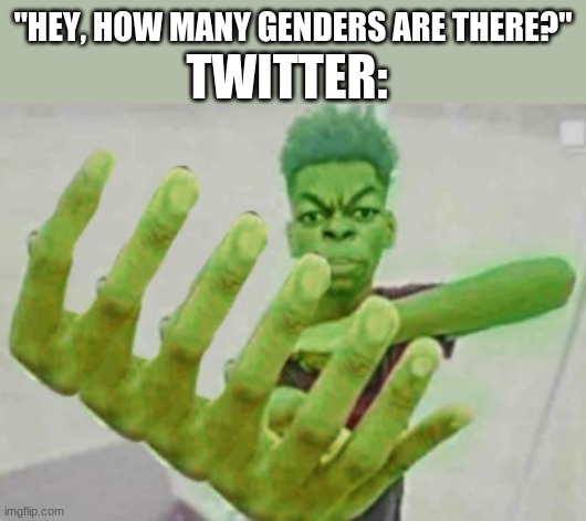 beast boy | TWITTER:; "HEY, HOW MANY GENDERS ARE THERE?" | image tagged in beast boy 4,four,twitter | made w/ Imgflip meme maker