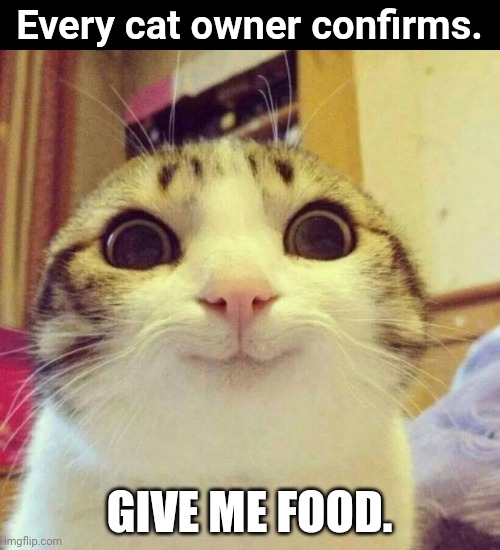 Do you have a cat? ? | Every cat owner confirms. GIVE ME FOOD. | image tagged in memes,smiling cat | made w/ Imgflip meme maker